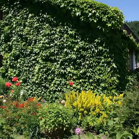 Apartamento Kreuzbühl